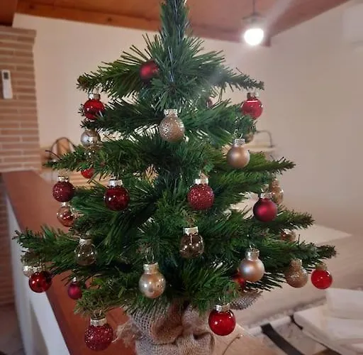 Casa Dantemini Casa Fiera Di Piana Del Solerm Fiumicino Apartment Rom