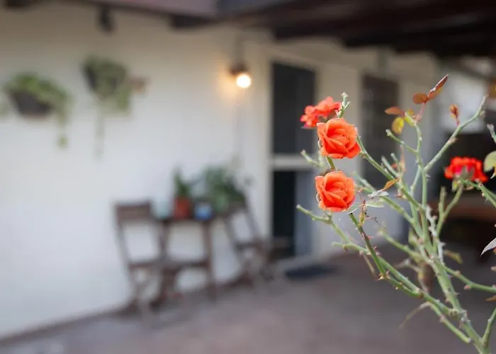 Casa Dantemini Casa Fiera Di Piana Del Solerm Fiumicino * Rom